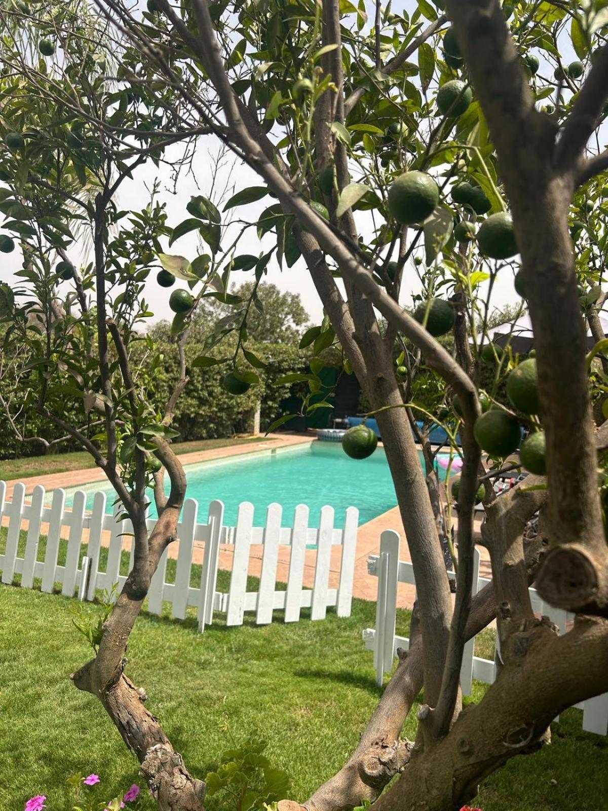 Villa Orangeraie Agadir Ngoại thất bức ảnh
